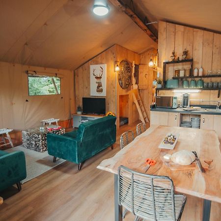 Cosy Forest Lodge Penrhos  Zewnętrze zdjęcie