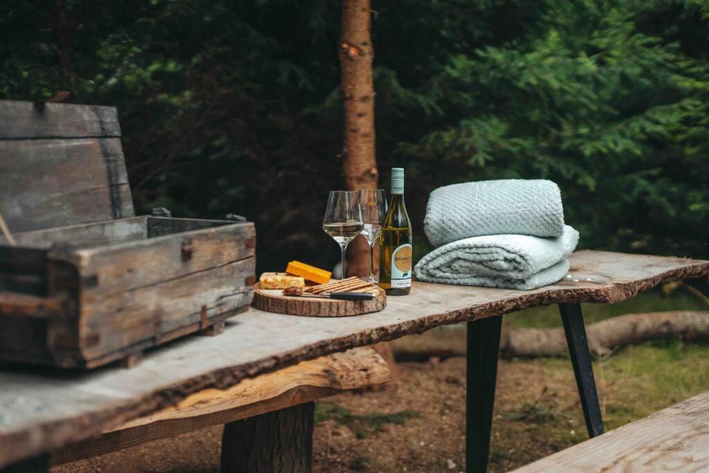 Cosy Forest Lodge Penrhos  Zewnętrze zdjęcie