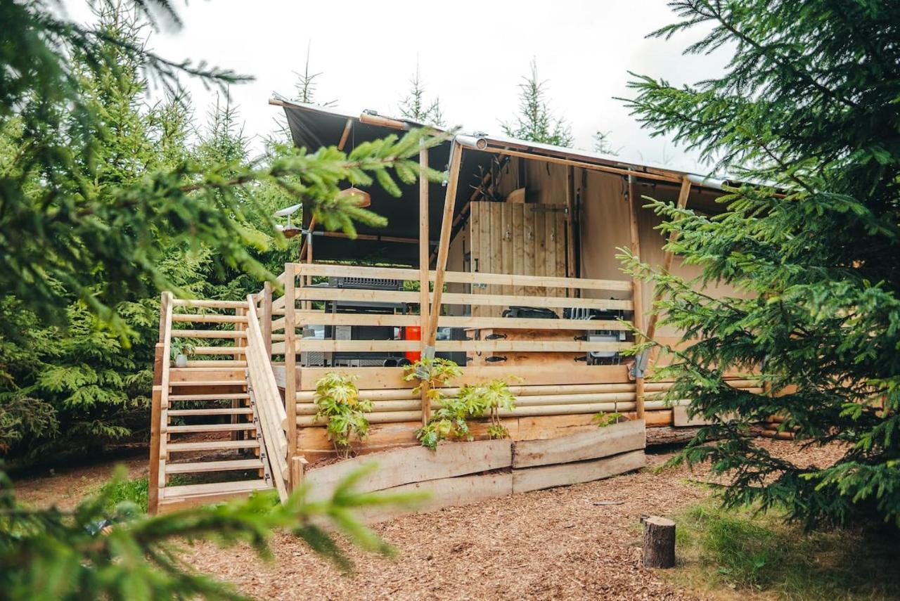 Cosy Forest Lodge Penrhos  Zewnętrze zdjęcie