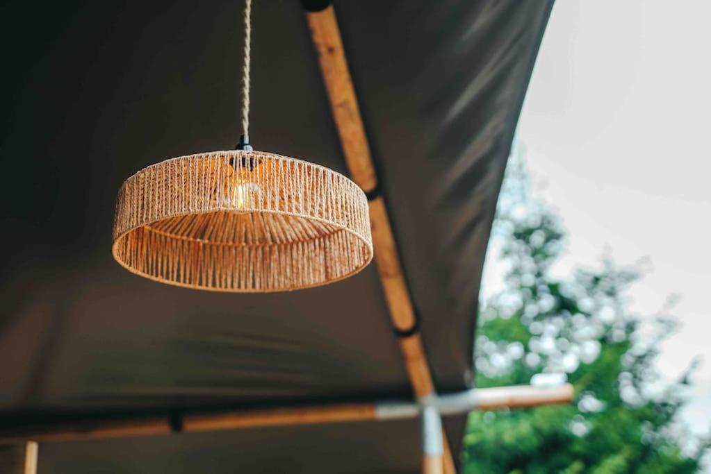 Cosy Forest Lodge Penrhos  Zewnętrze zdjęcie