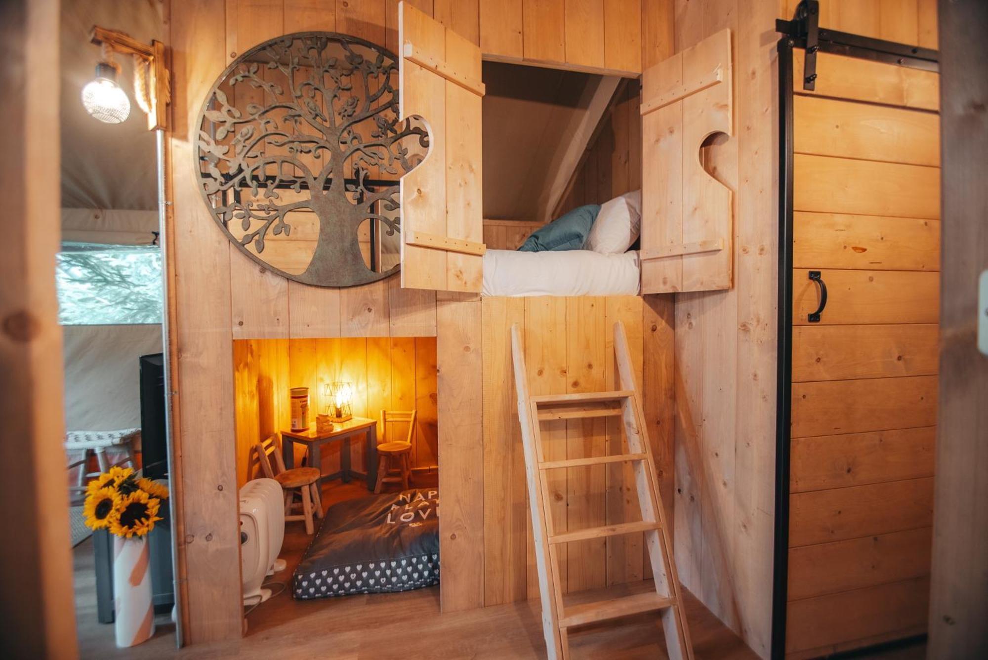 Cosy Forest Lodge Penrhos  Zewnętrze zdjęcie