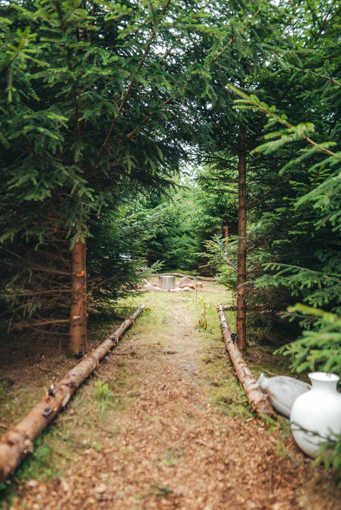 Cosy Forest Lodge Penrhos  Zewnętrze zdjęcie