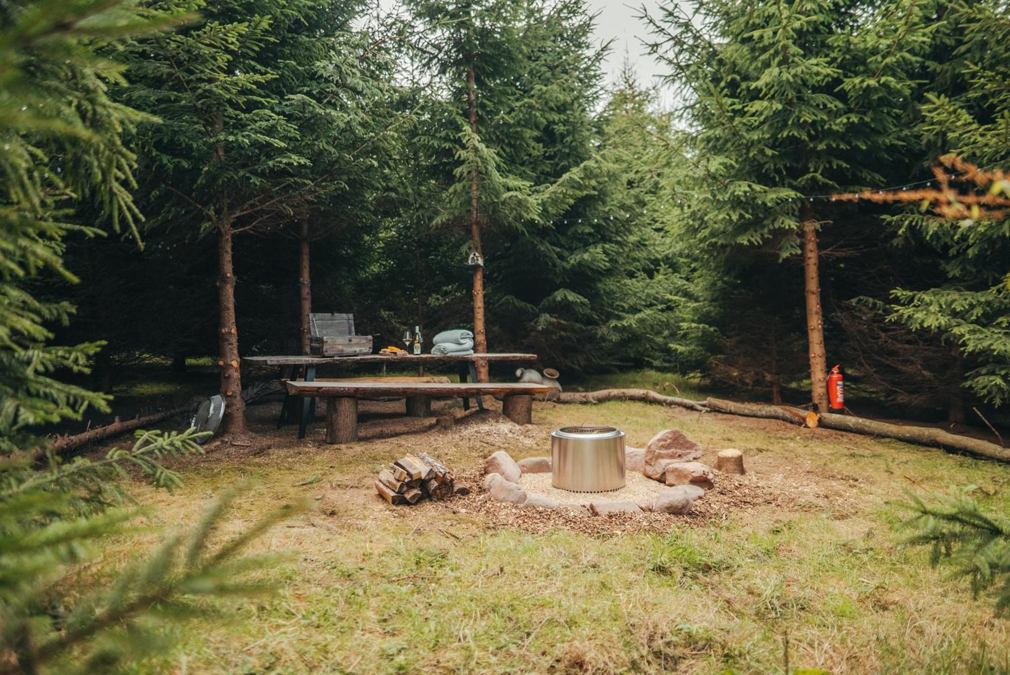 Cosy Forest Lodge Penrhos  Zewnętrze zdjęcie