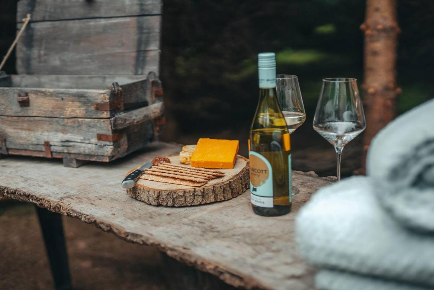 Cosy Forest Lodge Penrhos  Zewnętrze zdjęcie