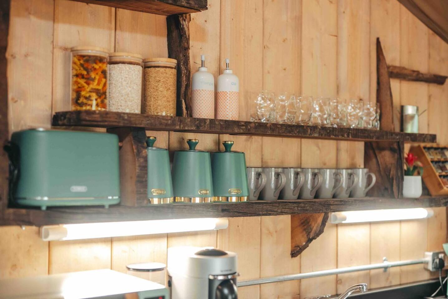 Cosy Forest Lodge Penrhos  Zewnętrze zdjęcie