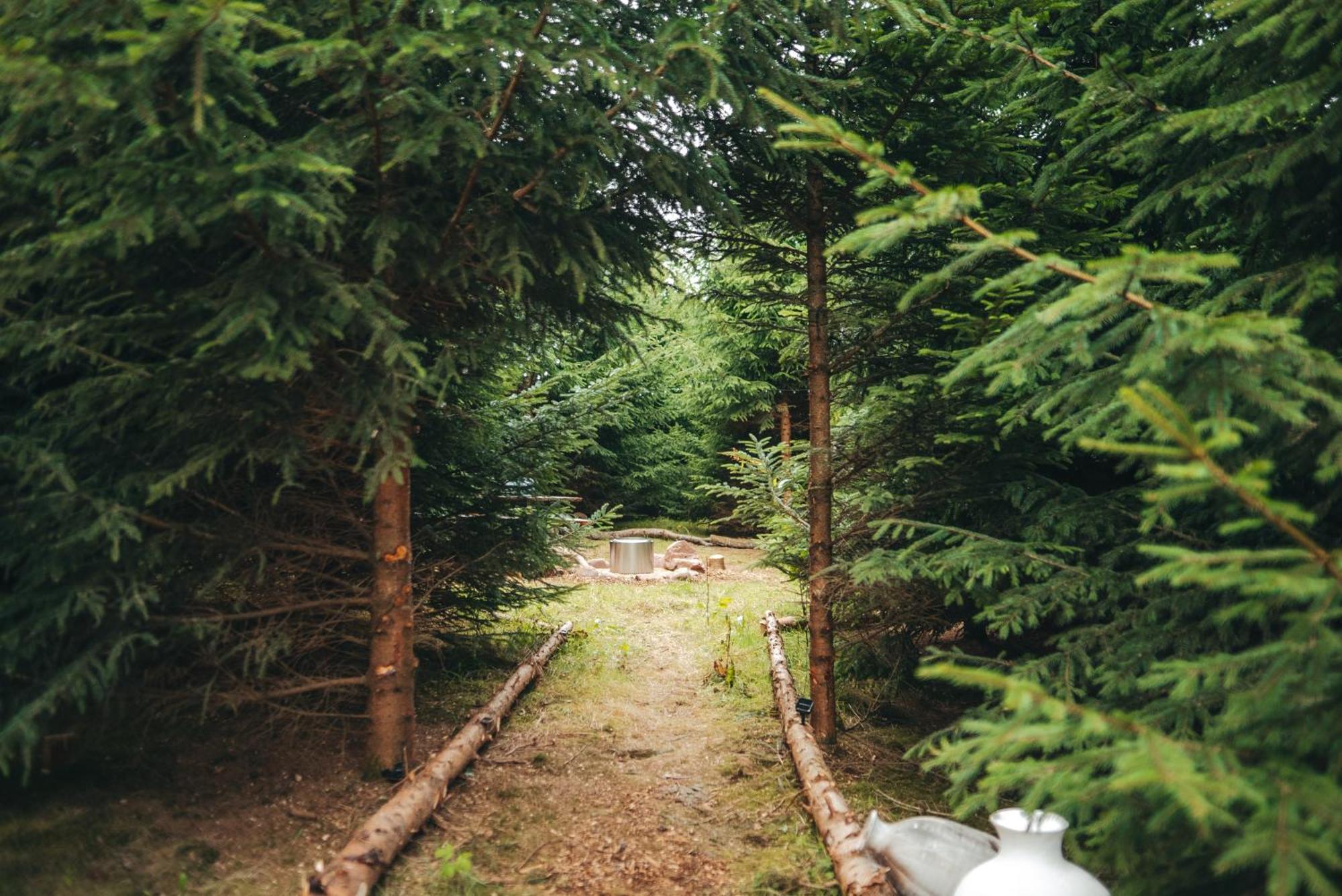 Cosy Forest Lodge Penrhos  Zewnętrze zdjęcie