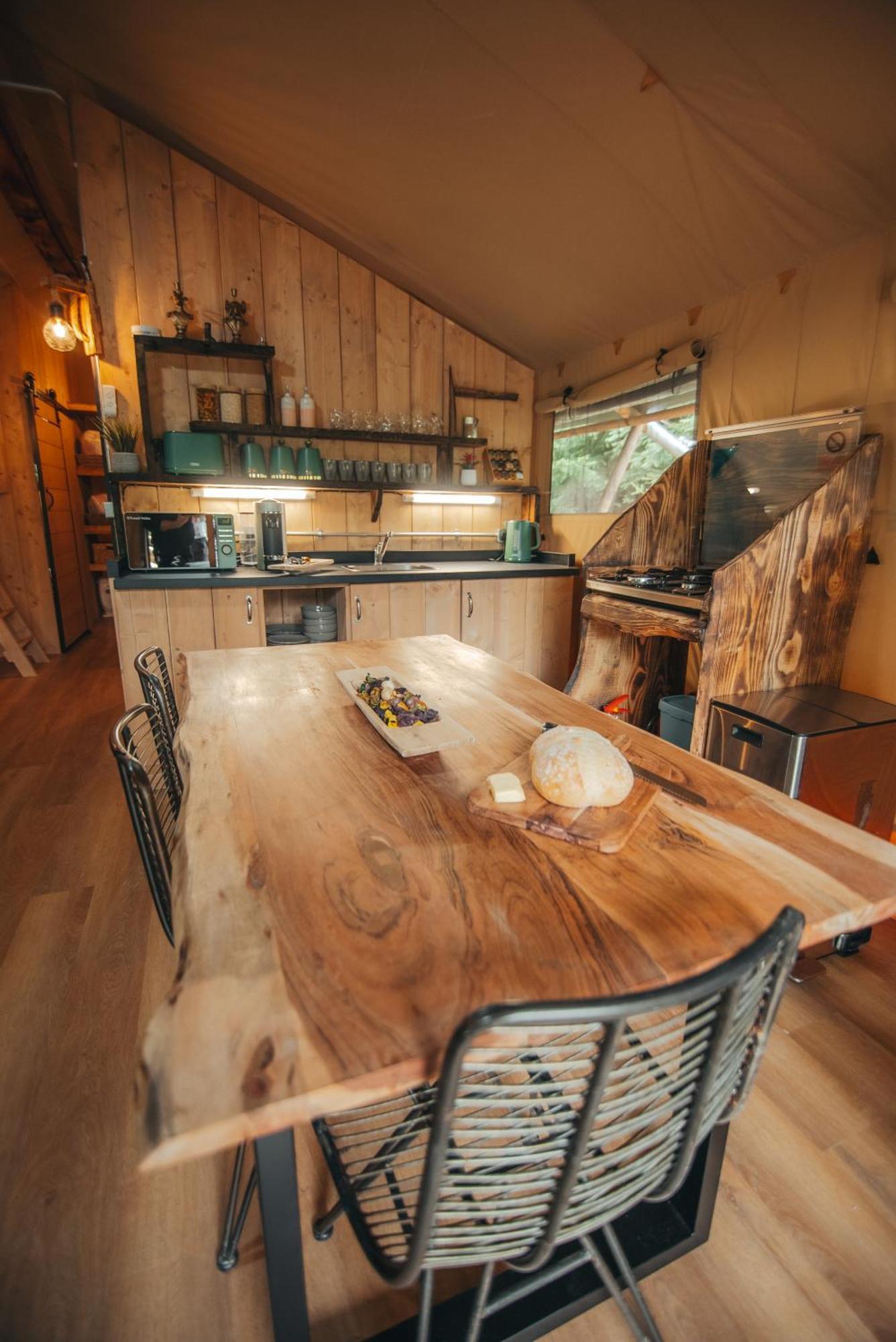 Cosy Forest Lodge Penrhos  Zewnętrze zdjęcie