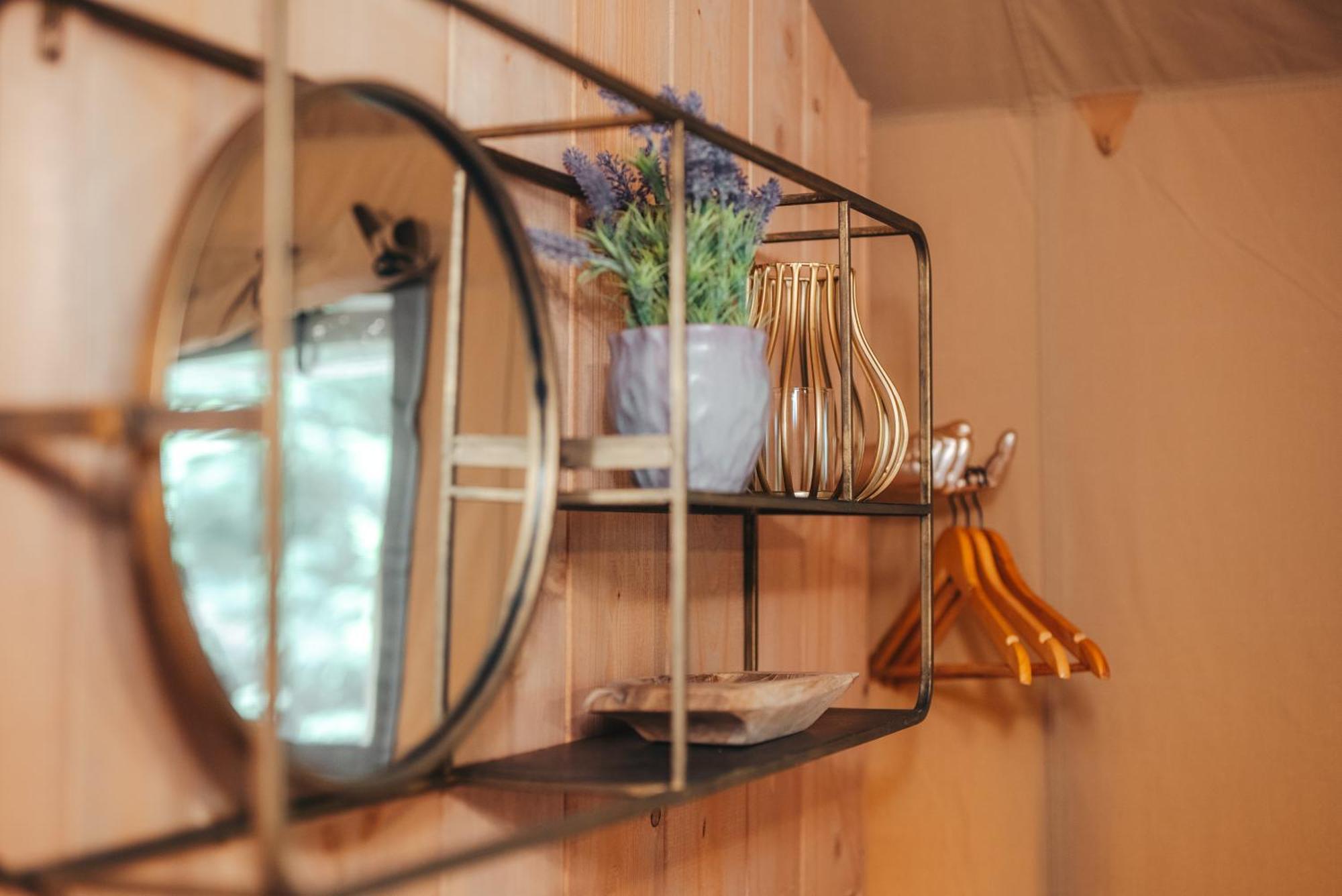 Cosy Forest Lodge Penrhos  Zewnętrze zdjęcie