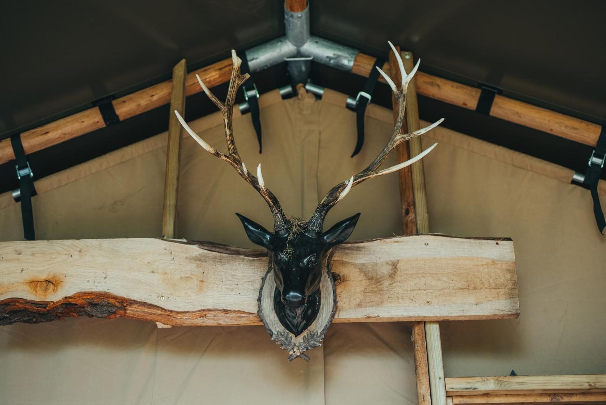 Cosy Forest Lodge Penrhos  Zewnętrze zdjęcie