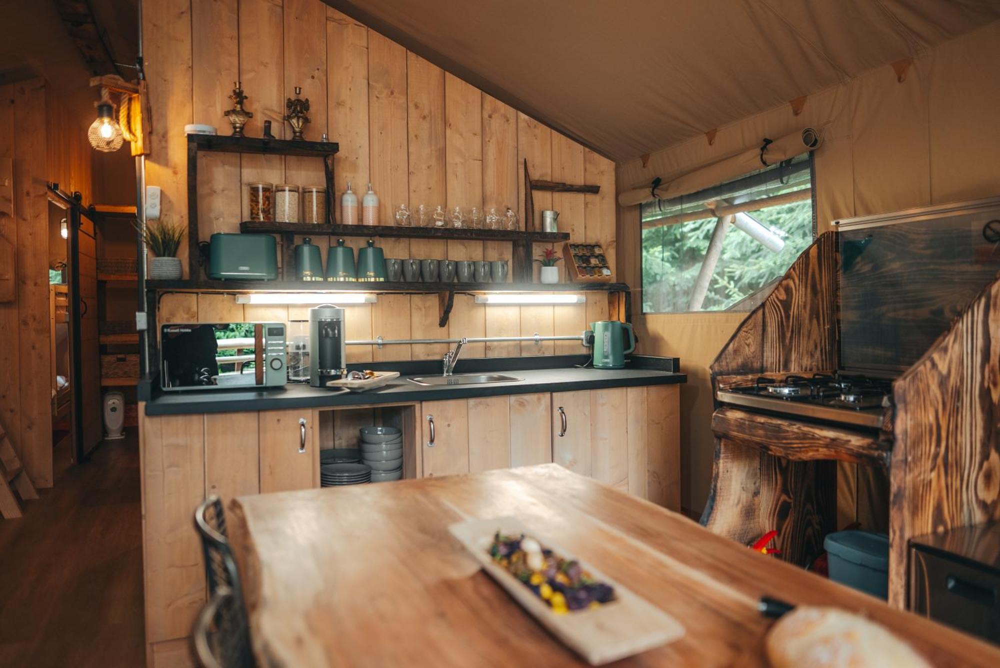 Cosy Forest Lodge Penrhos  Zewnętrze zdjęcie