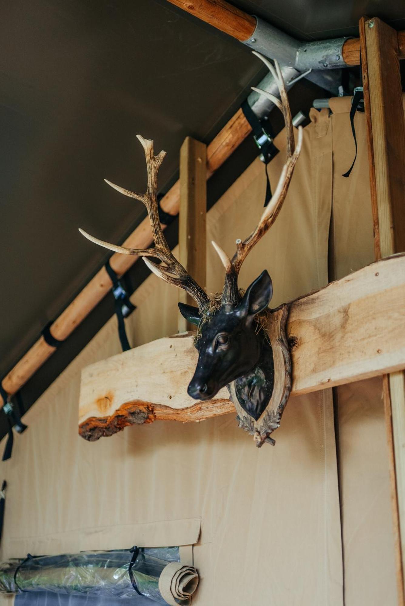 Cosy Forest Lodge Penrhos  Zewnętrze zdjęcie