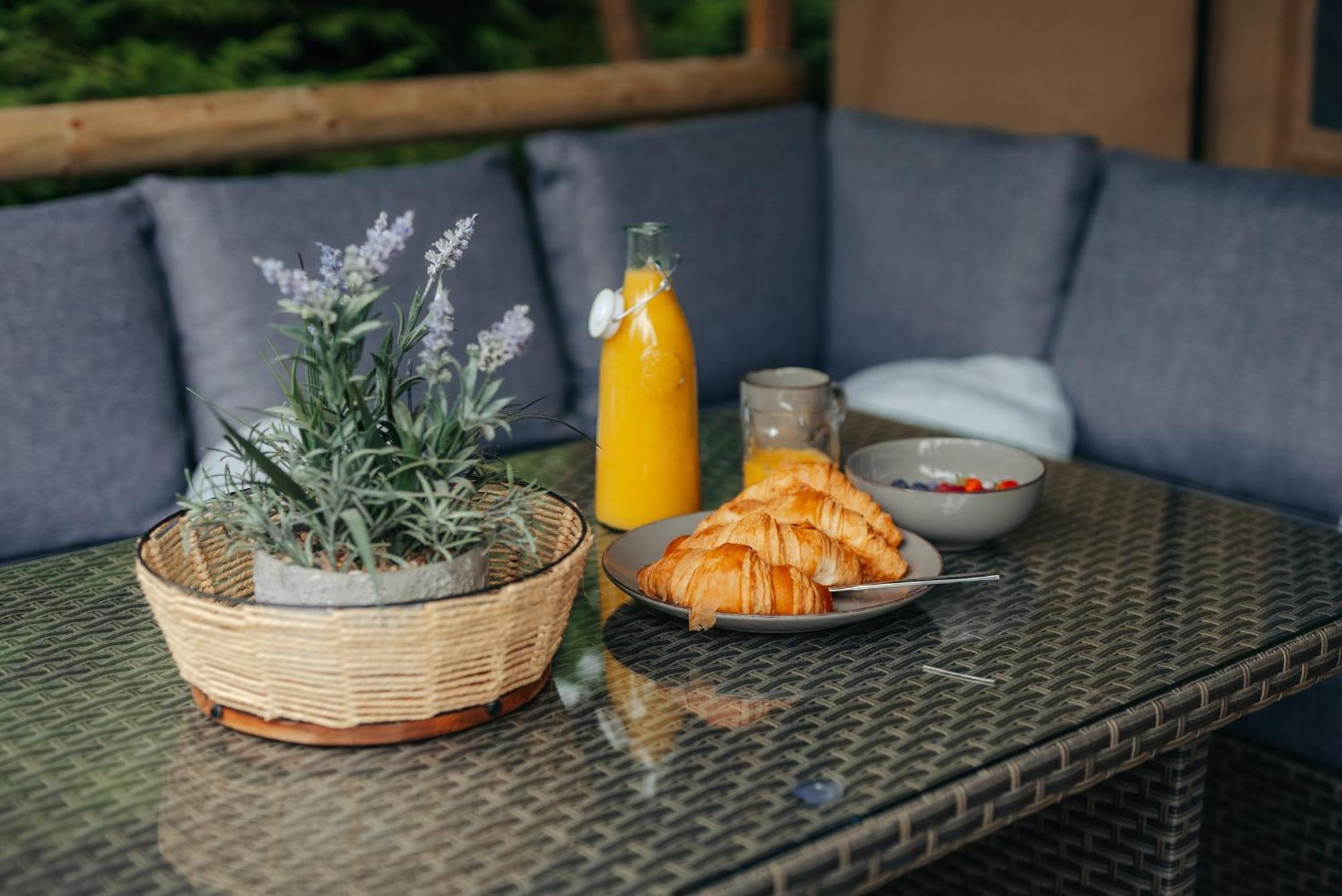Cosy Forest Lodge Penrhos  Zewnętrze zdjęcie