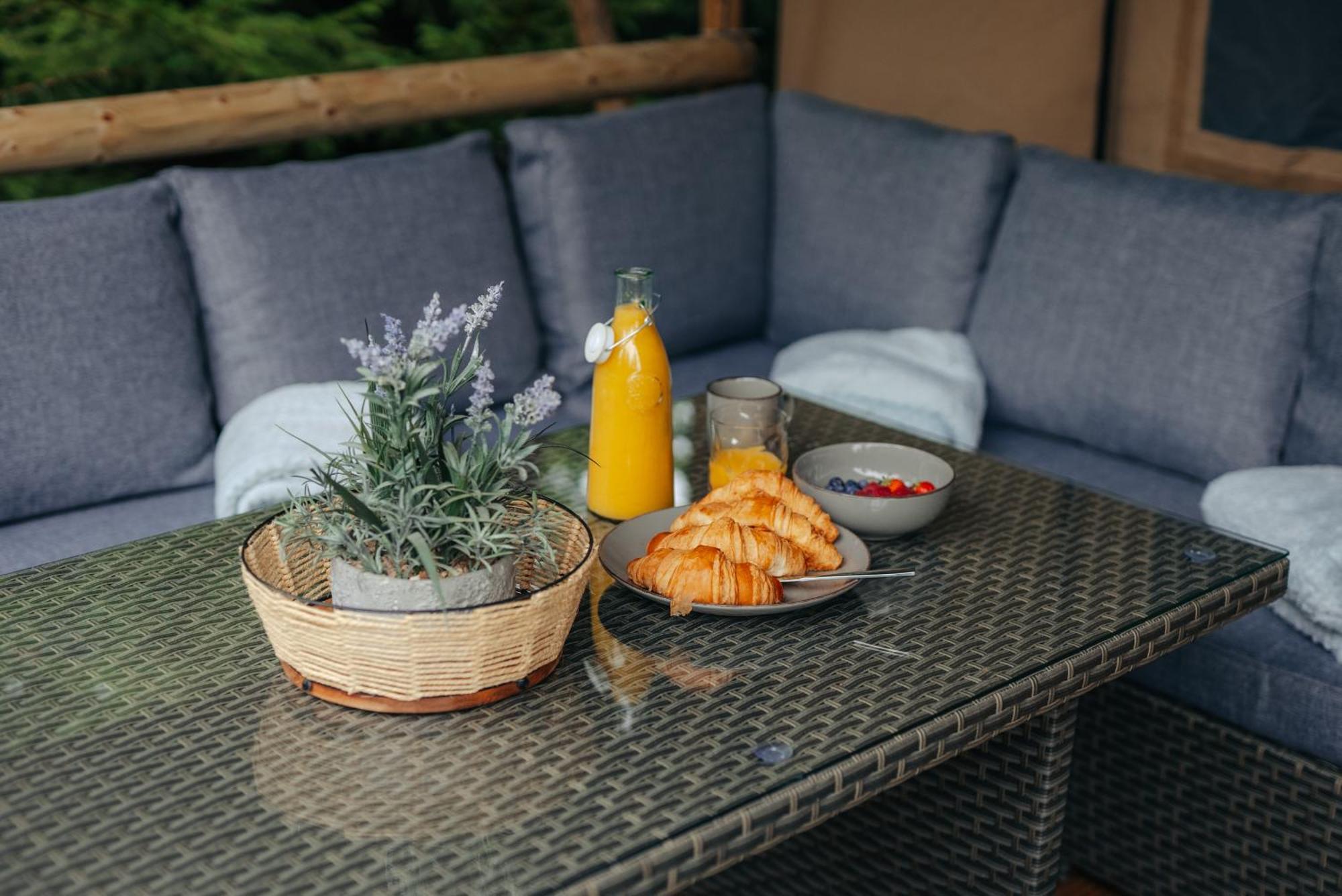 Cosy Forest Lodge Penrhos  Zewnętrze zdjęcie